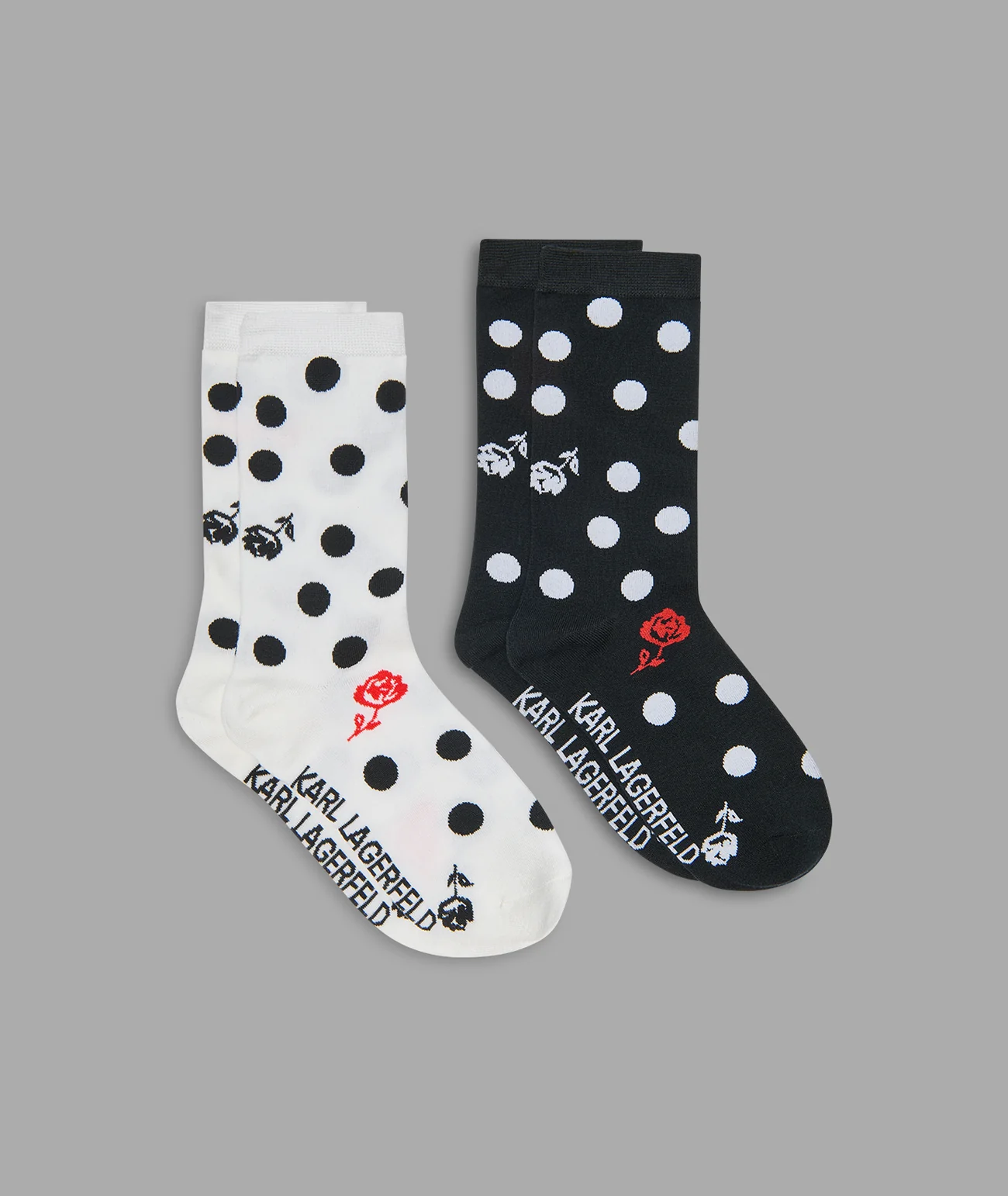 New Women's Accessories